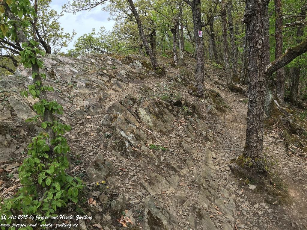 Philosophische Bildwanderung Murscher Eselsche - Hunsrück