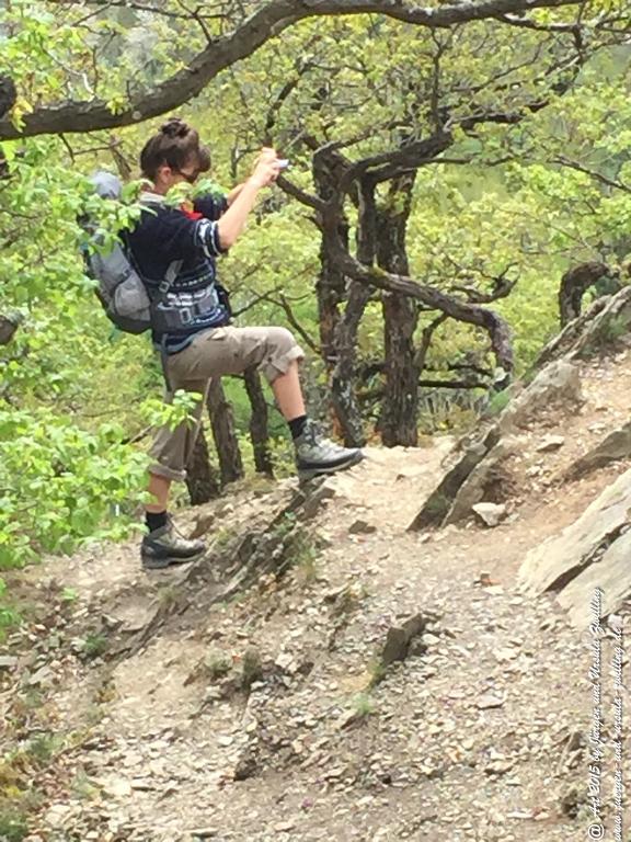 Philosophische Bildwanderung Murscher Eselsche - Hunsrück