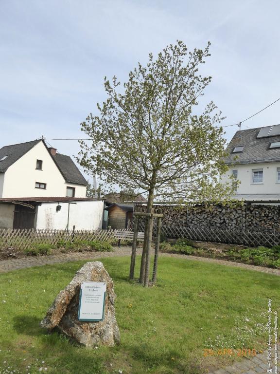 Philosophische Bildwanderung Murscher Eselsche - Hunsrück