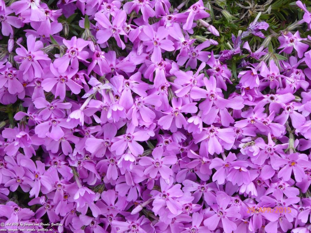 Philosophische Bildwanderung Murscher Eselsche - Hunsrück