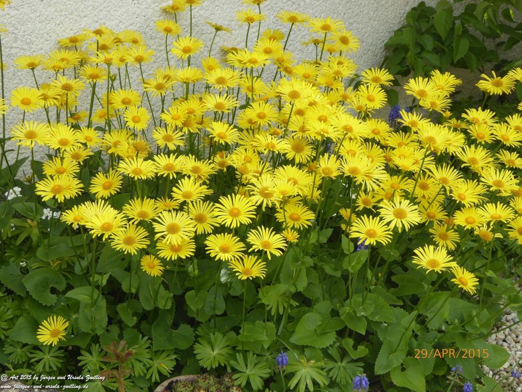 Philosophische Bildwanderung Murscher Eselsche - Hunsrück