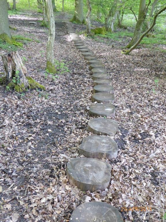 Philosophische Bildwanderung Murscher Eselsche - Hunsrück