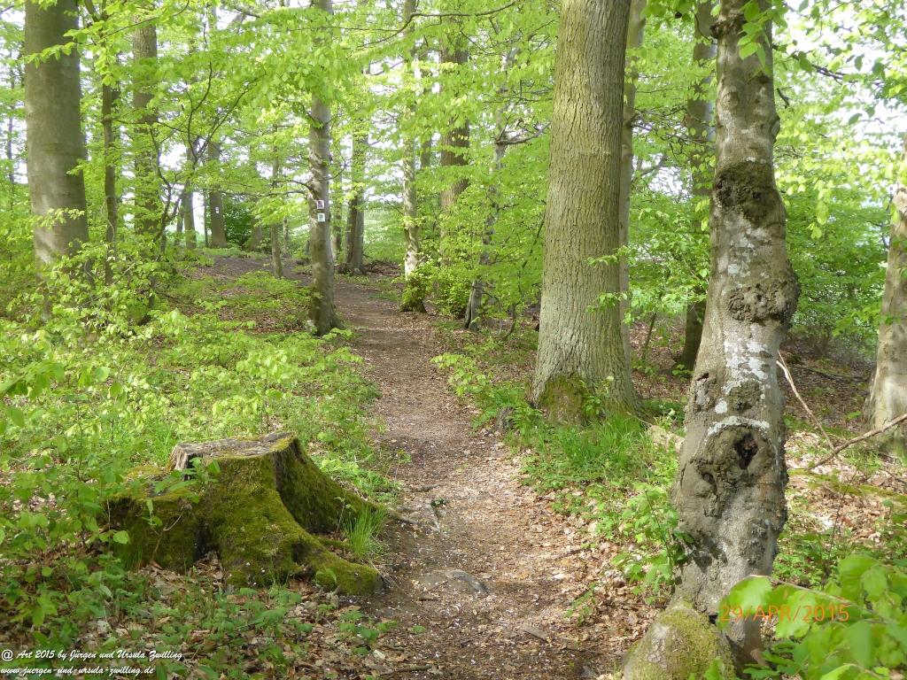 Philosophische Bildwanderung Murscher Eselsche - Hunsrück