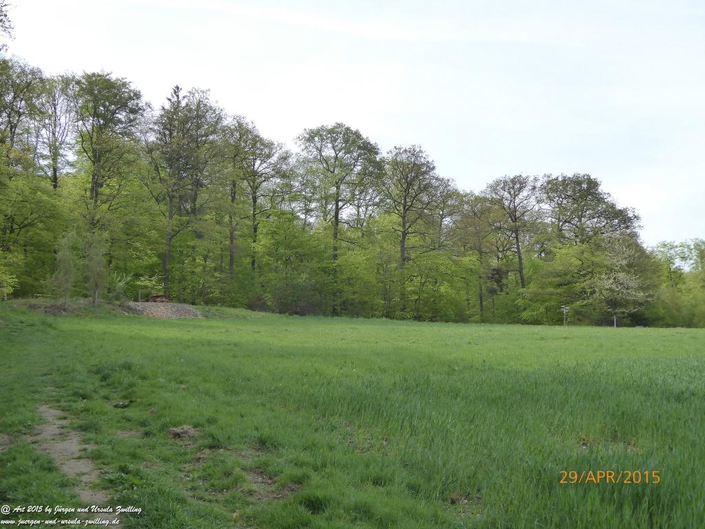 Philosophische Bildwanderung Murscher Eselsche - Hunsrück