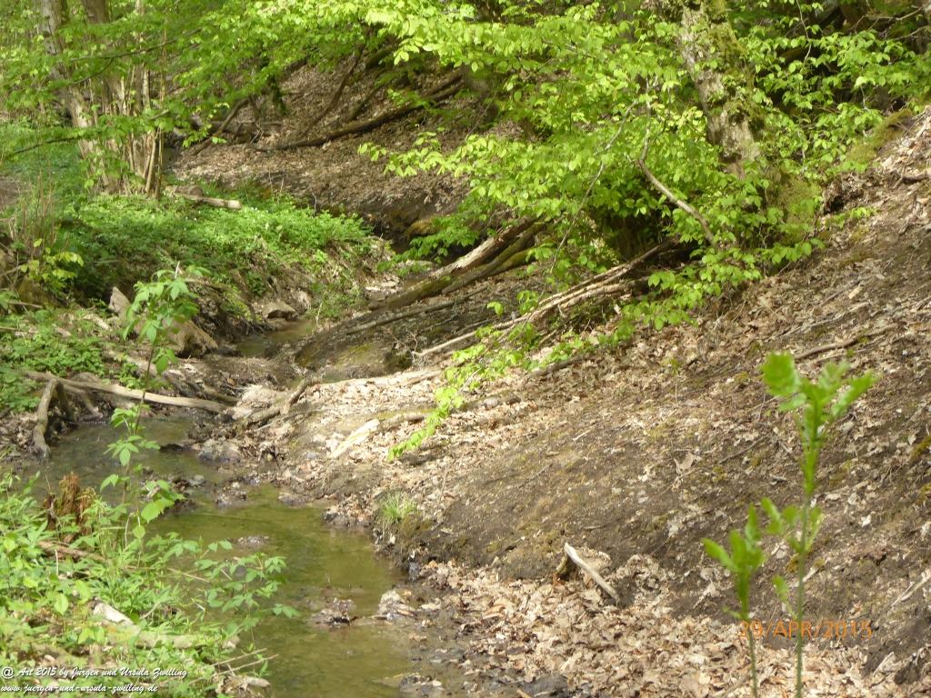 Philosophische Bildwanderung Murscher Eselsche - Hunsrück