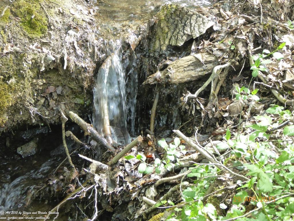 Philosophische Bildwanderung Murscher Eselsche - Hunsrück