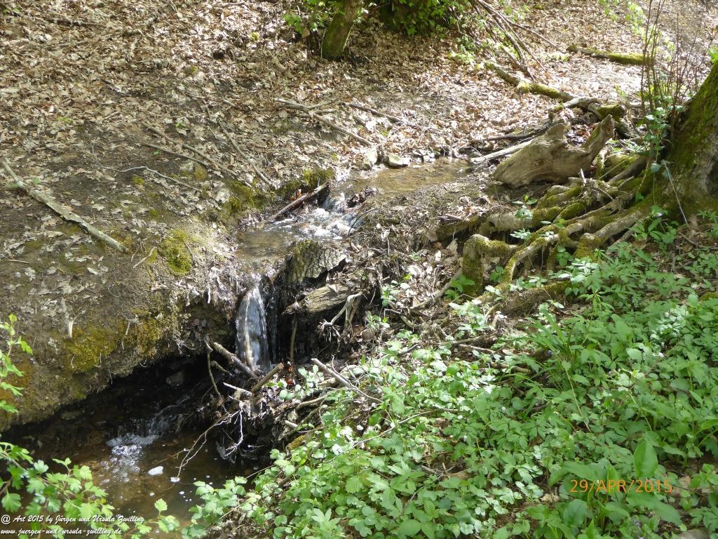 Philosophische Bildwanderung Murscher Eselsche - Hunsrück