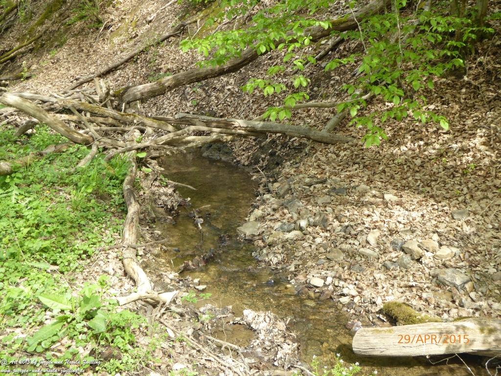 Philosophische Bildwanderung Murscher Eselsche - Hunsrück