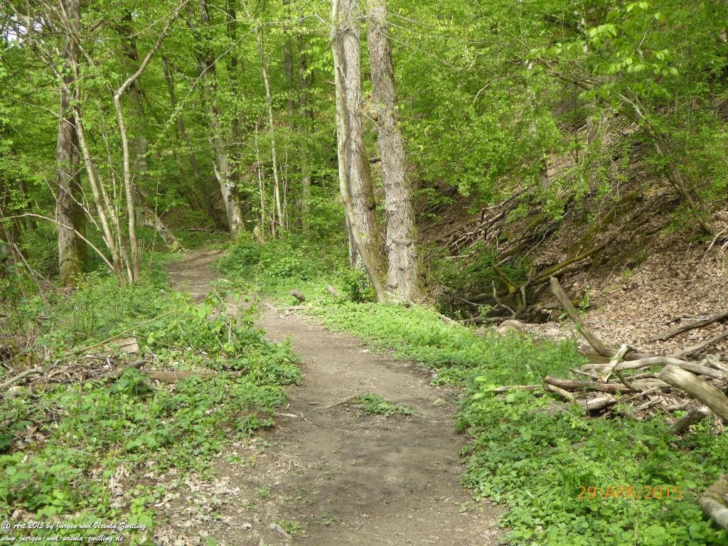 Philosophische Bildwanderung Murscher Eselsche - Hunsrück