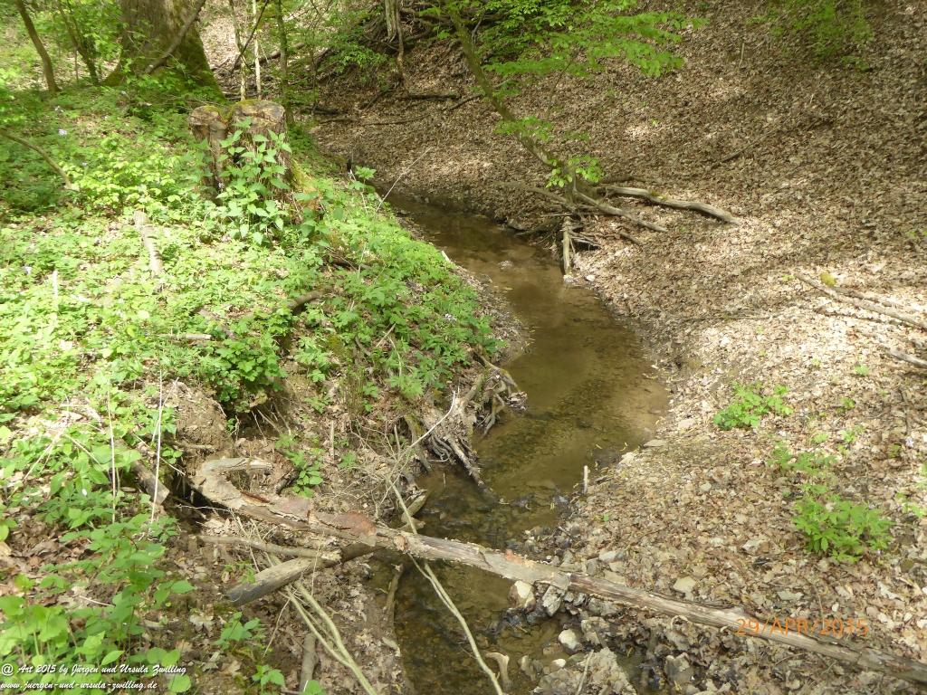 Philosophische Bildwanderung Murscher Eselsche - Hunsrück