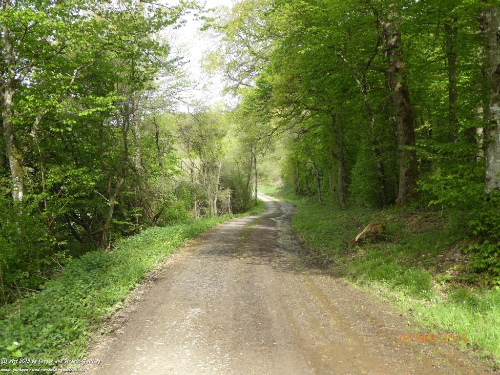 Philosophische Bildwanderung Murscher Eselsche - Hunsrück