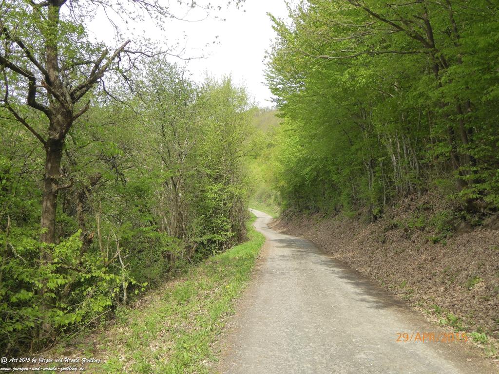 Philosophische Bildwanderung Murscher Eselsche - Hunsrück