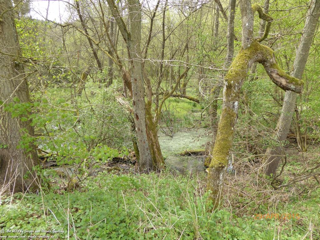 Philosophische Bildwanderung Murscher Eselsche - Hunsrück