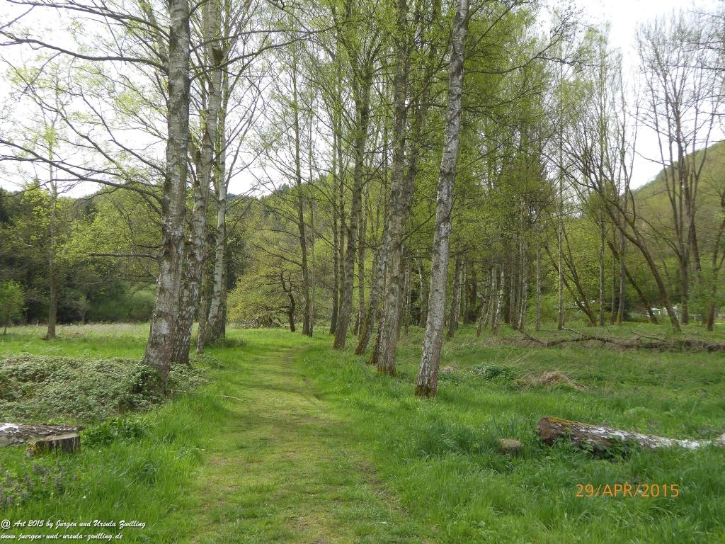 Philosophische Bildwanderung Murscher Eselsche - Hunsrück