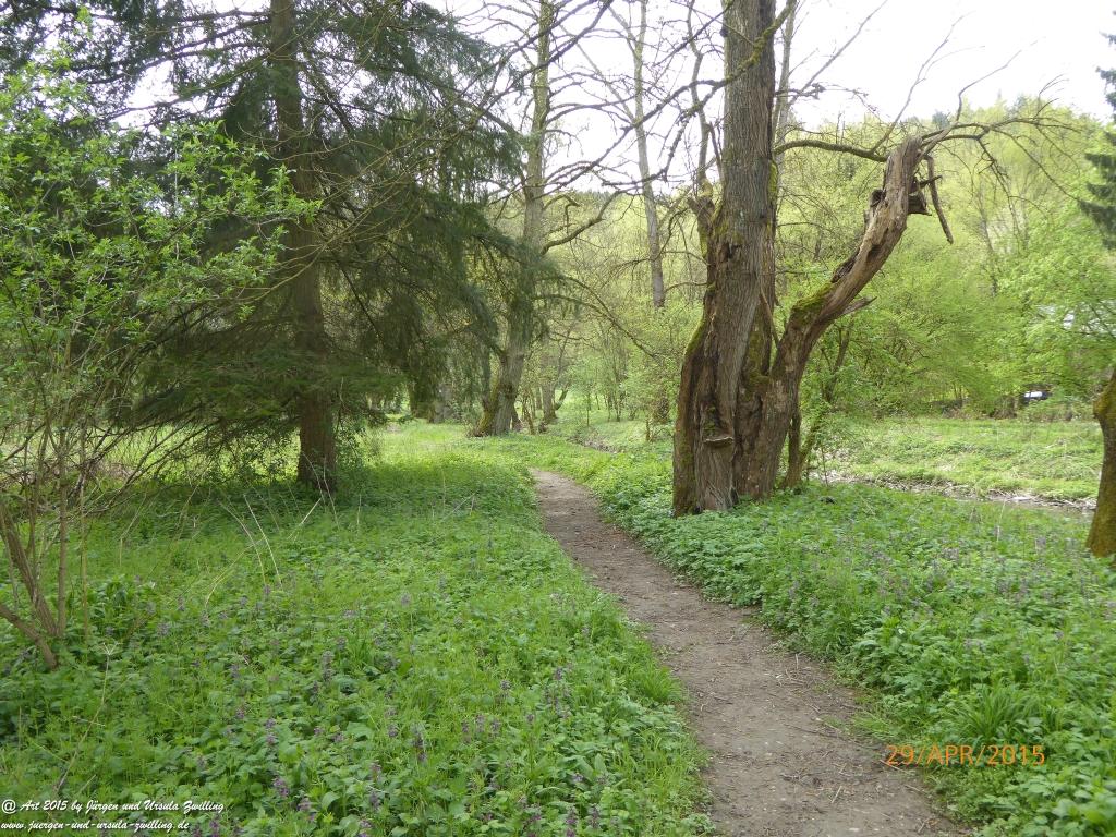Philosophische Bildwanderung Murscher Eselsche - Hunsrück