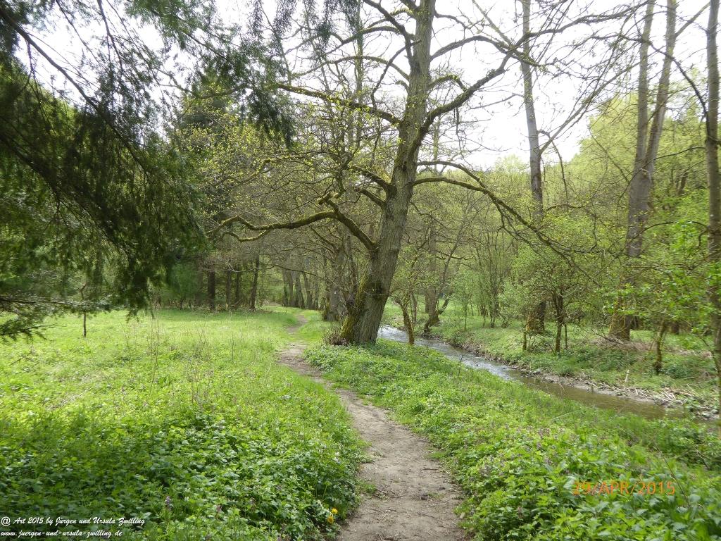 Philosophische Bildwanderung Murscher Eselsche - Hunsrück