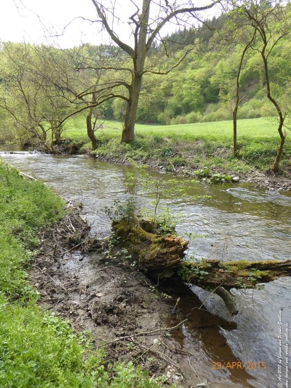Philosophische Bildwanderung Murscher Eselsche - Hunsrück