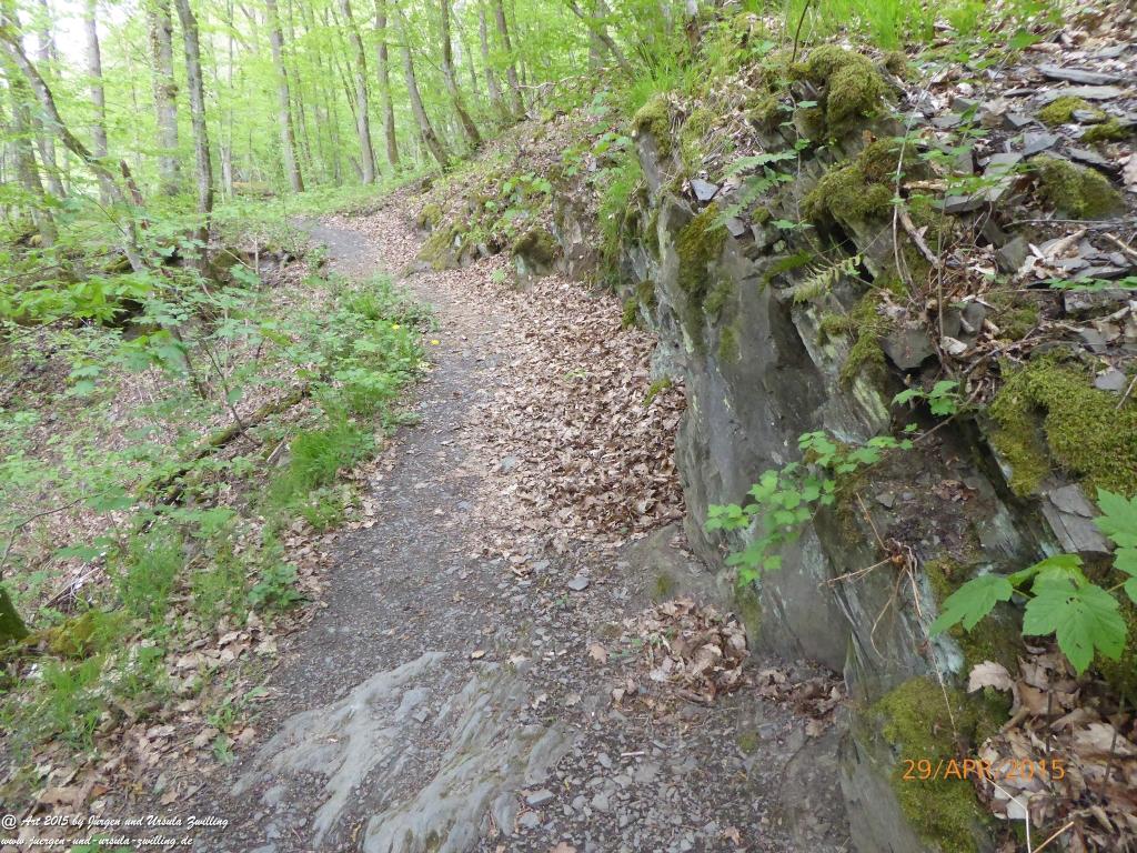 Philosophische Bildwanderung Murscher Eselsche - Hunsrück