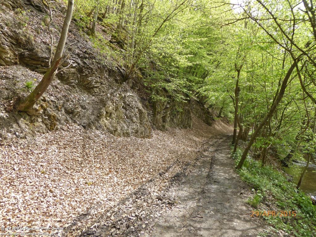 Philosophische Bildwanderung Murscher Eselsche - Hunsrück