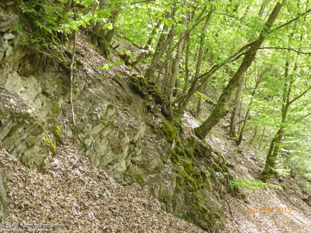 Philosophische Bildwanderung Murscher Eselsche - Hunsrück