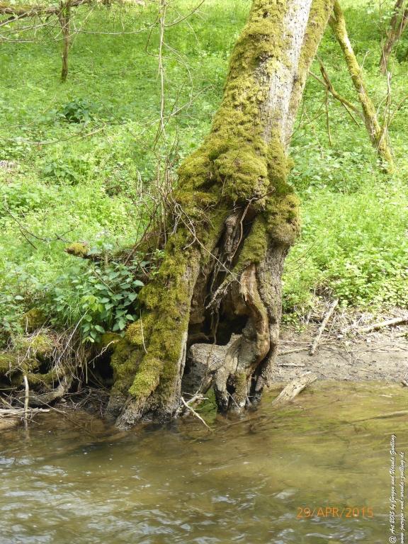 Philosophische Bildwanderung Murscher Eselsche - Hunsrück