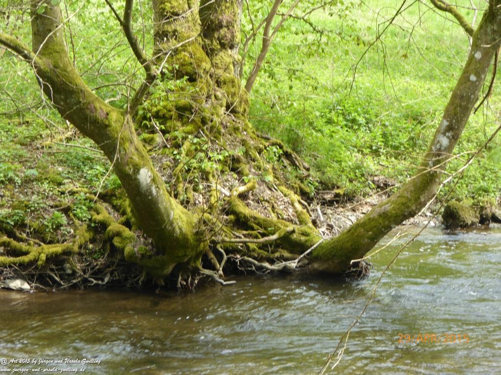 Philosophische Bildwanderung Murscher Eselsche - Hunsrück