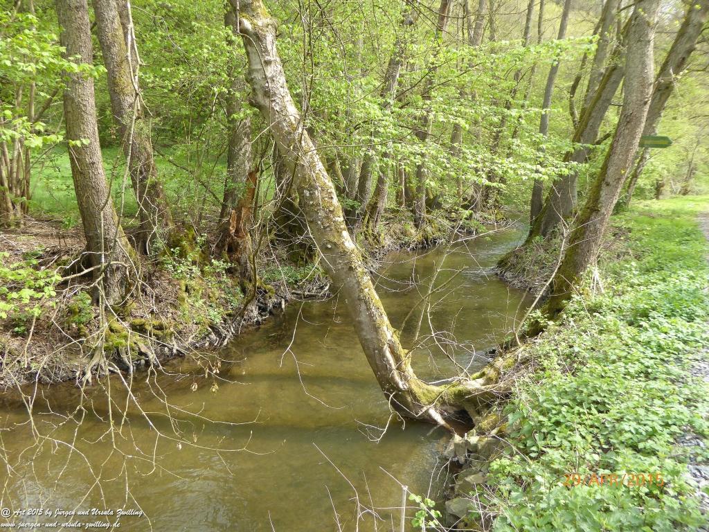 Philosophische Bildwanderung Murscher Eselsche - Hunsrück