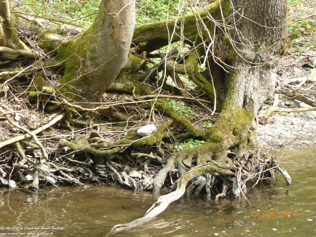 Philosophische Bildwanderung Murscher Eselsche - Hunsrück
