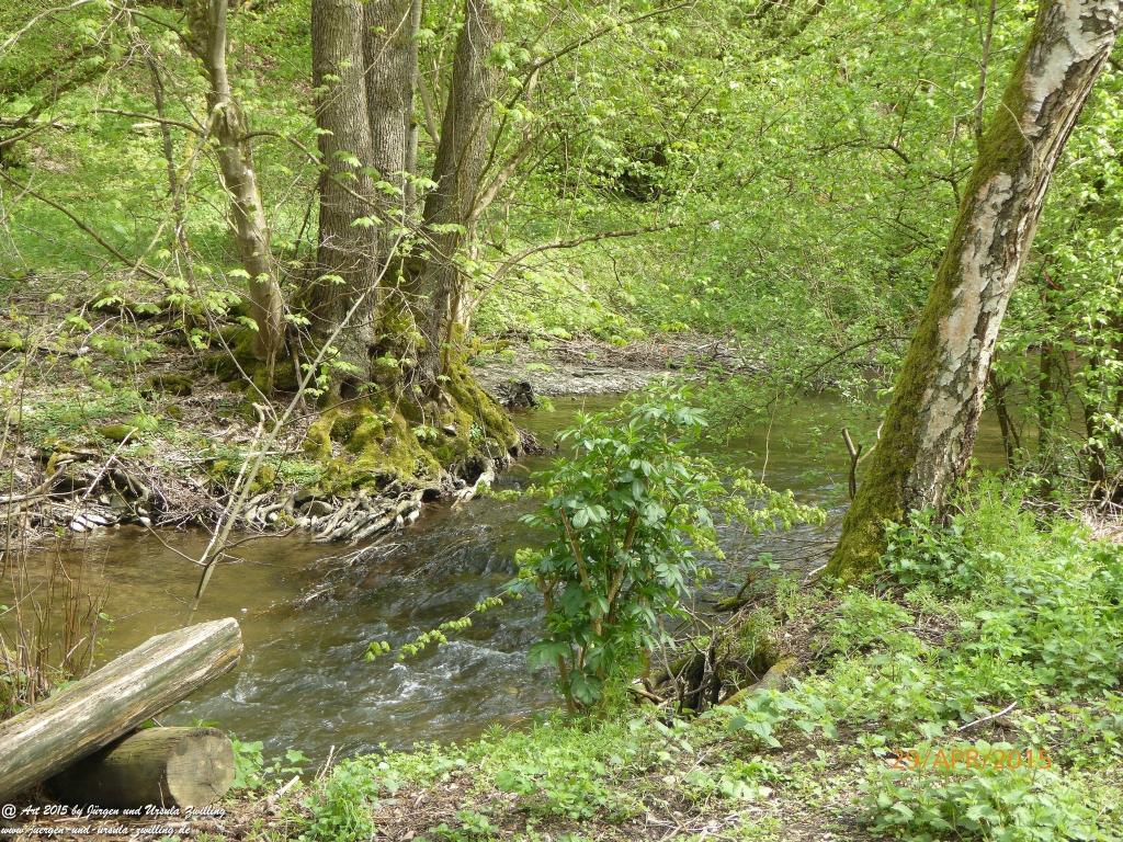 Philosophische Bildwanderung Murscher Eselsche - Hunsrück