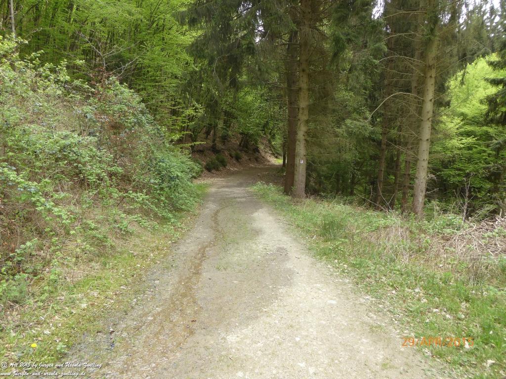 Philosophische Bildwanderung Murscher Eselsche - Hunsrück