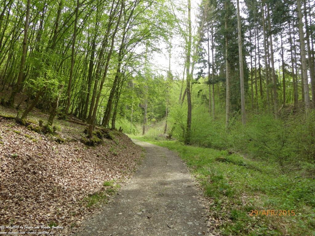 Philosophische Bildwanderung Murscher Eselsche - Hunsrück