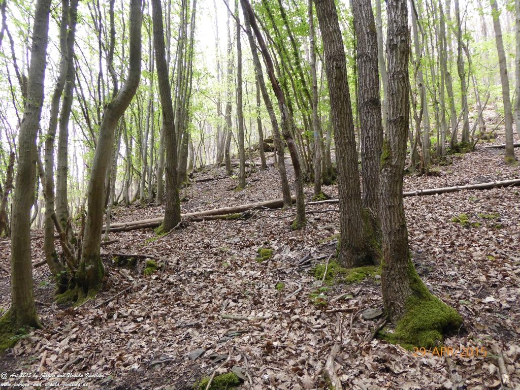 Philosophische Bildwanderung Murscher Eselsche - Hunsrück