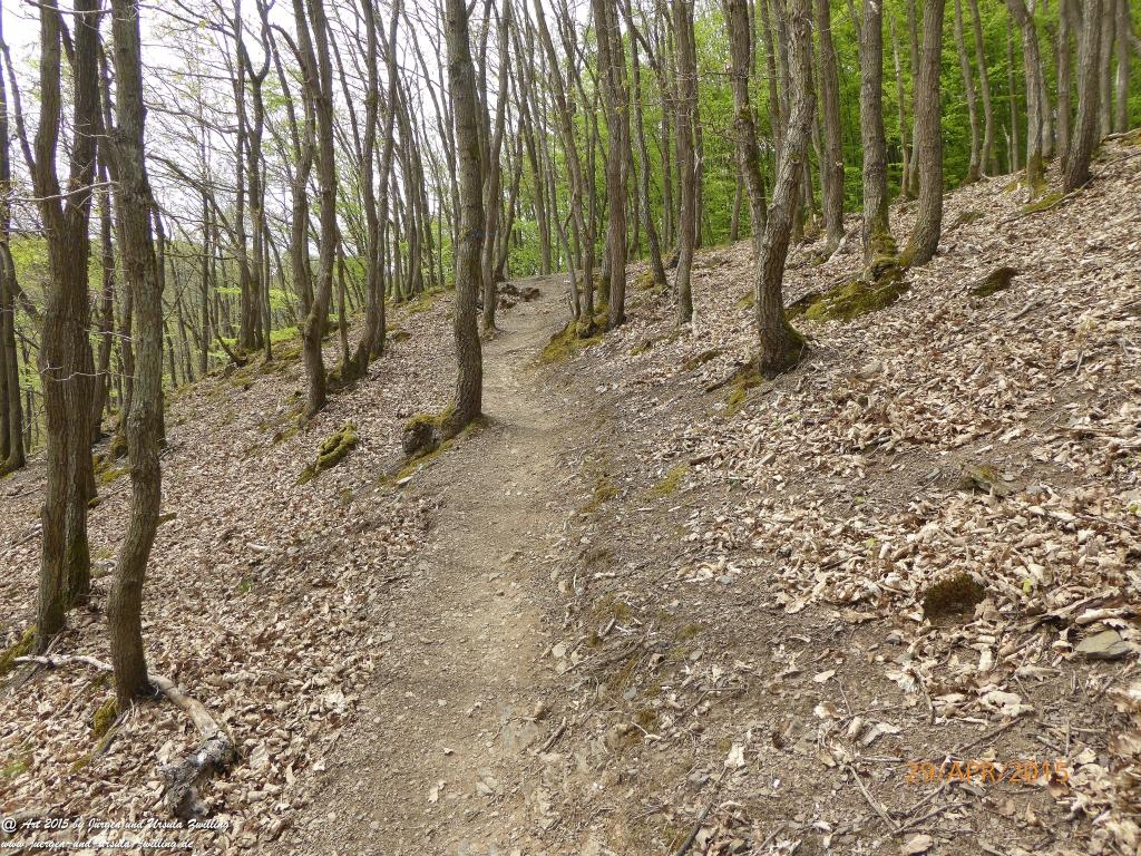 Philosophische Bildwanderung Murscher Eselsche - Hunsrück