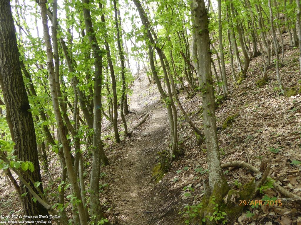 Philosophische Bildwanderung Murscher Eselsche - Hunsrück