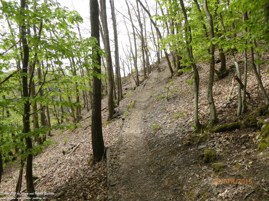 Philosophische Bildwanderung Murscher Eselsche - Hunsrück