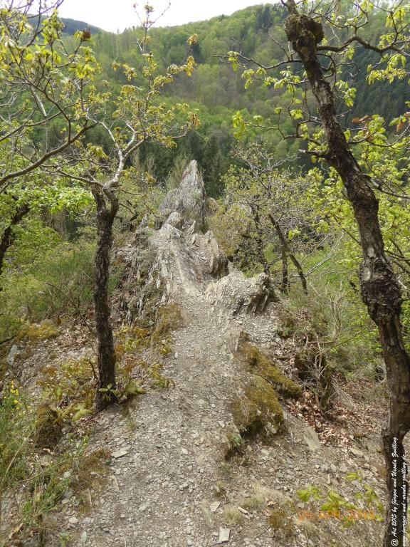 Philosophische Bildwanderung Murscher Eselsche - Hunsrück