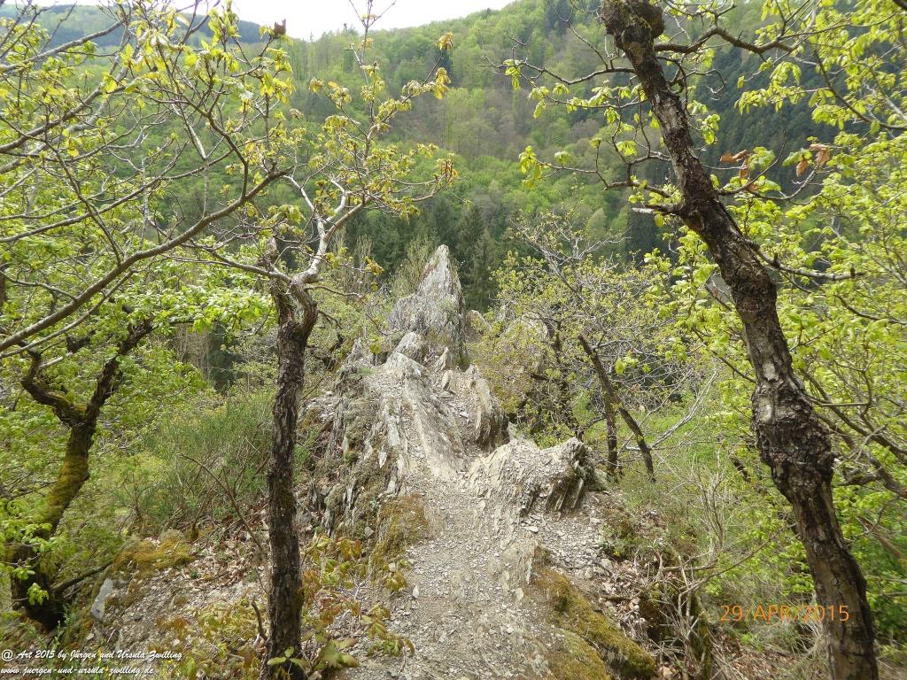 Philosophische Bildwanderung Murscher Eselsche - Hunsrück