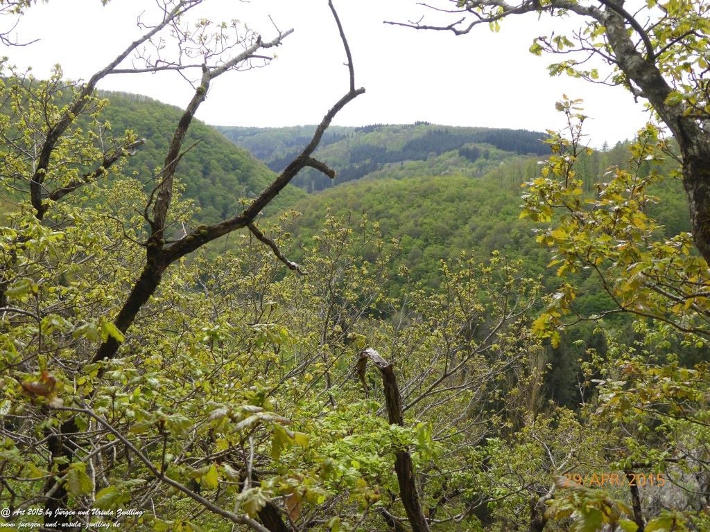 Philosophische Bildwanderung Murscher Eselsche - Hunsrück