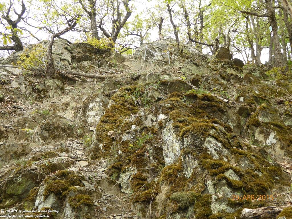 Philosophische Bildwanderung Murscher Eselsche - Hunsrück