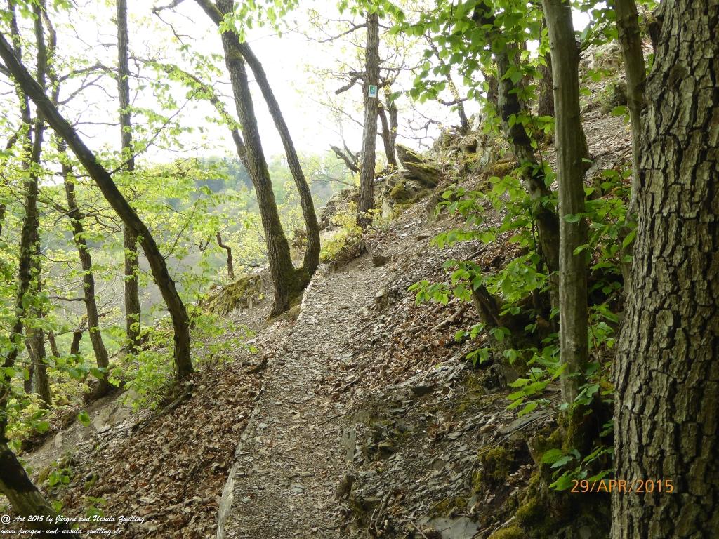 Philosophische Bildwanderung Murscher Eselsche - Hunsrück