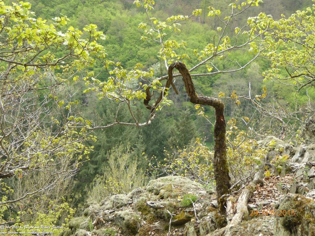 Philosophische Bildwanderung Murscher Eselsche - Hunsrück