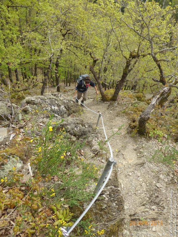 Philosophische Bildwanderung Murscher Eselsche - Hunsrück