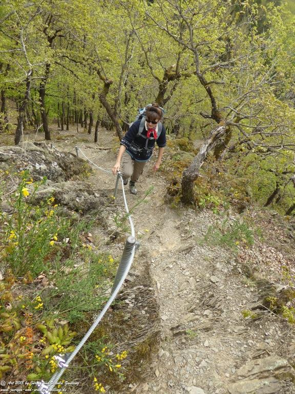 Philosophische Bildwanderung Murscher Eselsche - Hunsrück