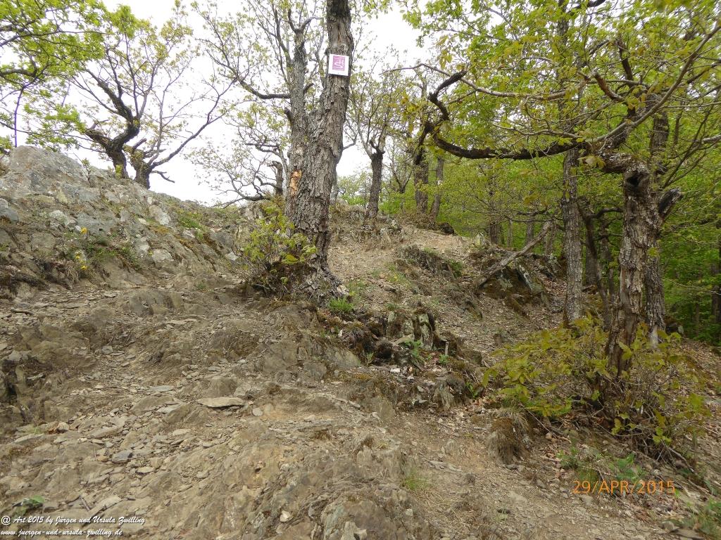 Philosophische Bildwanderung Murscher Eselsche - Hunsrück