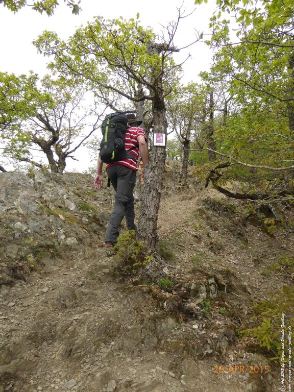 Philosophische Bildwanderung Murscher Eselsche - Hunsrück