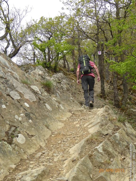 Philosophische Bildwanderung Murscher Eselsche - Hunsrück