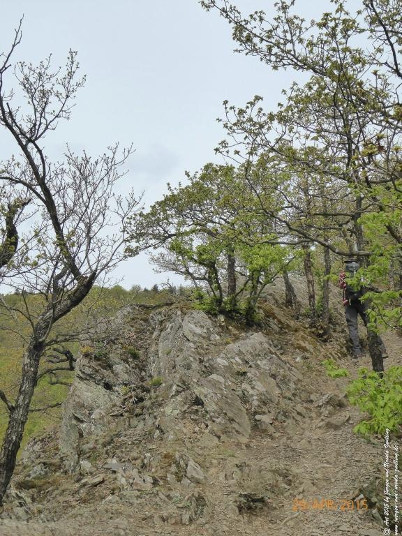 Philosophische Bildwanderung Murscher Eselsche - Hunsrück