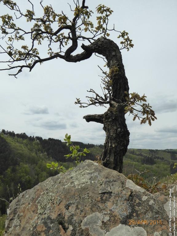 Philosophische Bildwanderung Murscher Eselsche - Hunsrück