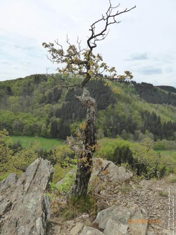 Philosophische Bildwanderung Murscher Eselsche - Hunsrück
