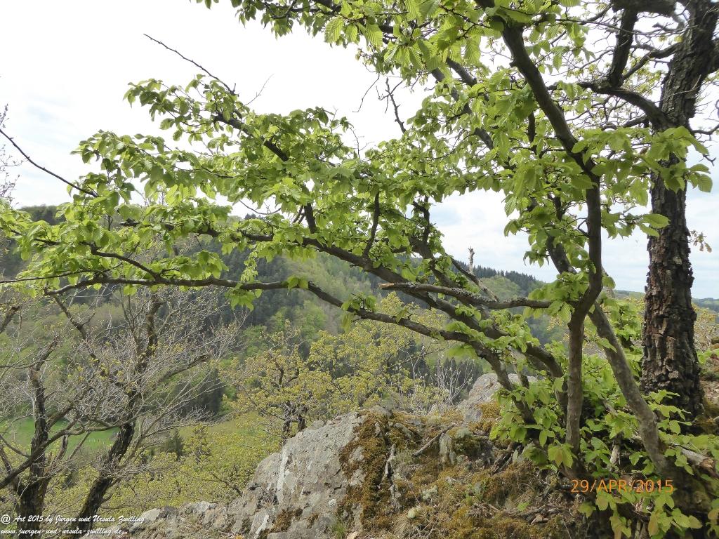 Philosophische Bildwanderung Murscher Eselsche - Hunsrück